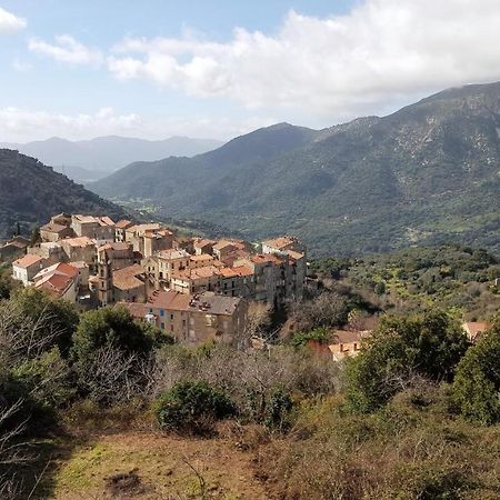 Вилла Casa Corsa Santa-Lucia-di-Tallano Экстерьер фото